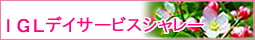 IGLデイサービスシャレー